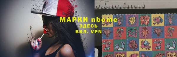 прущий лед Каменка