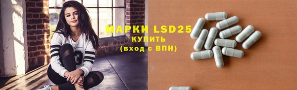 прущий лед Каменка