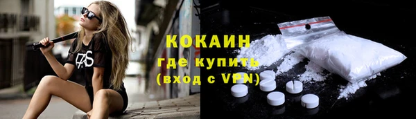 прущий лед Каменка