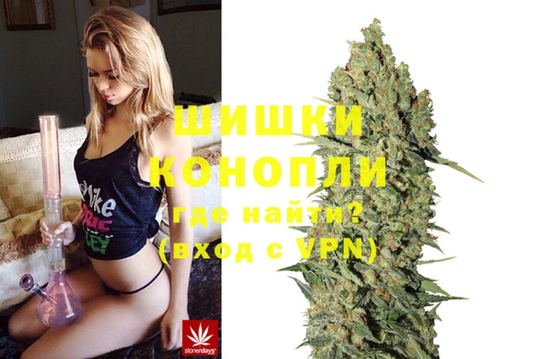 прущий лед Каменка