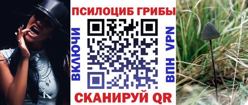 Купить  Костомукша  Псилоцибиновые грибы ЛСД 